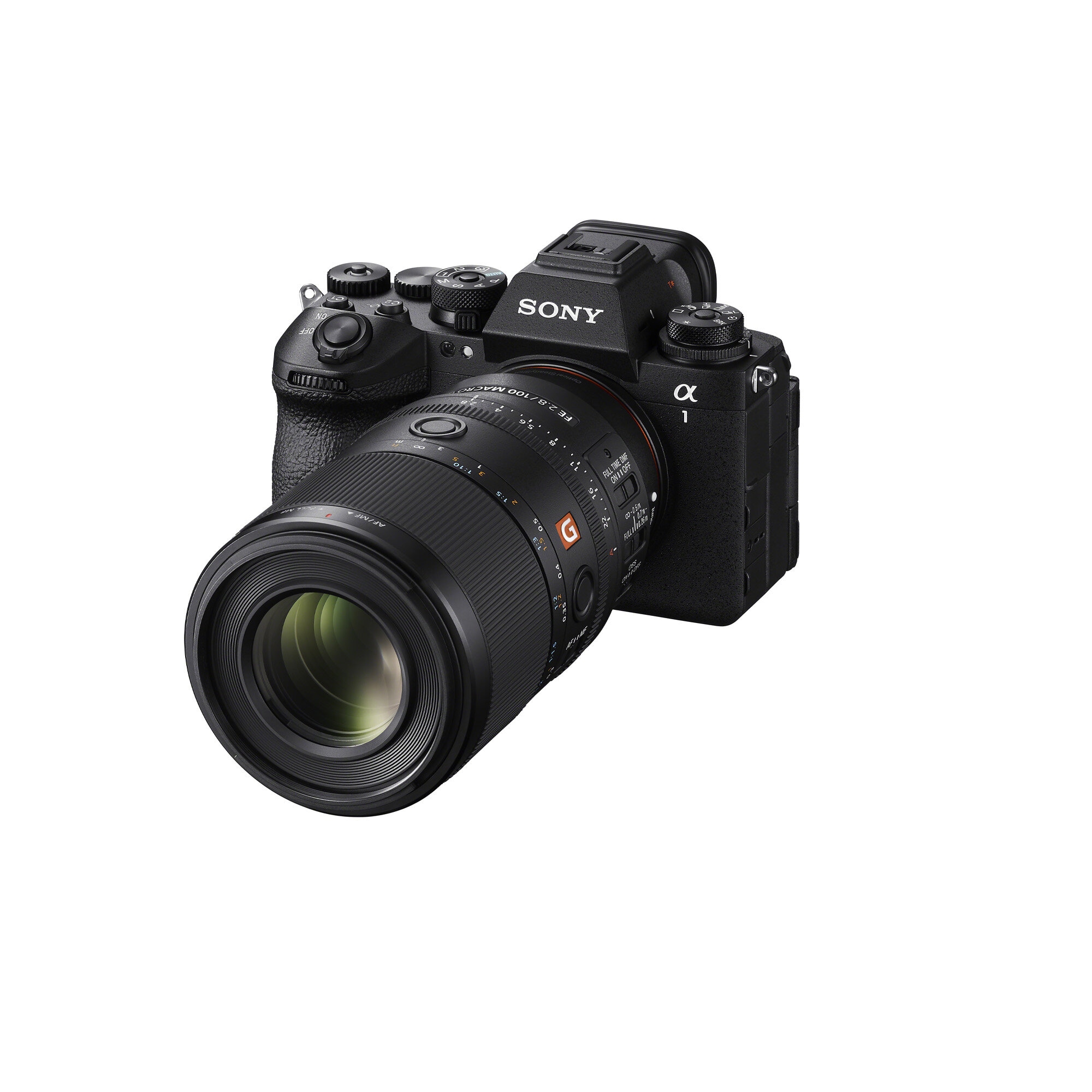 Sony FE 100mm F2.8 Macro GM OSS