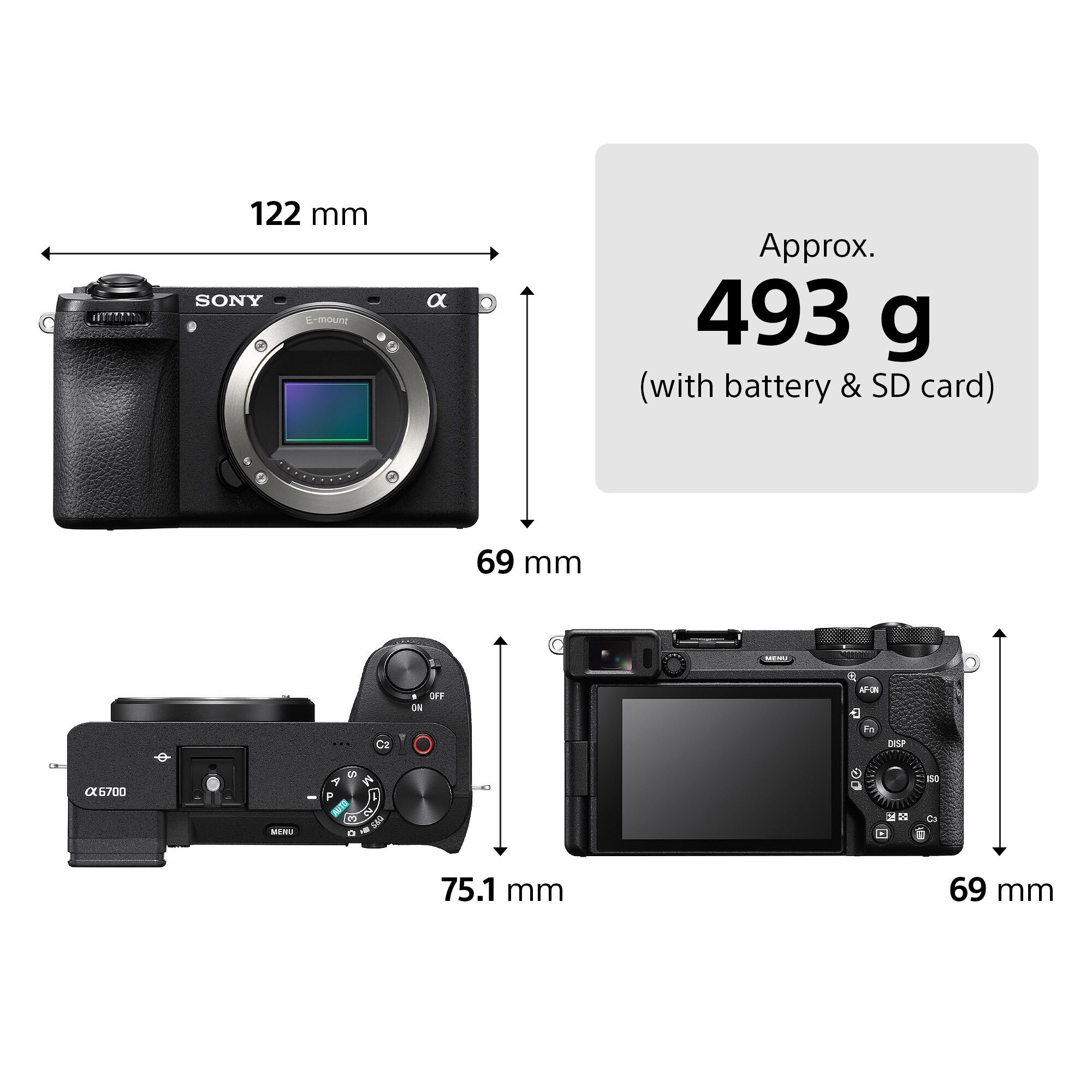 Sony A6700 Wildlife Kit