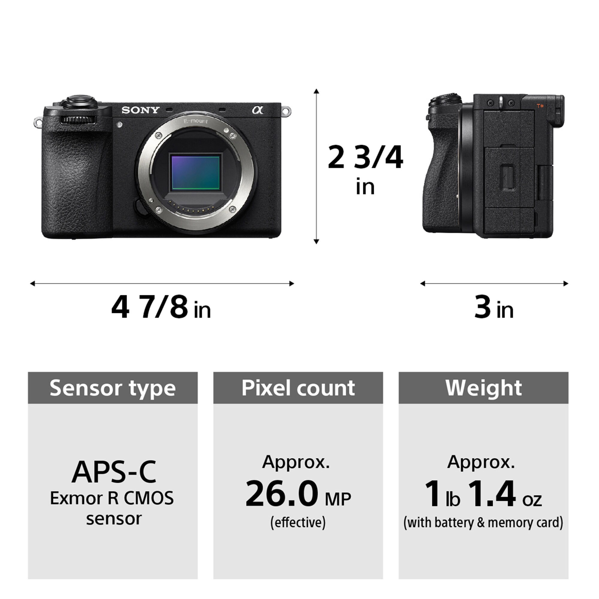 Sony A6700 Wildlife Kit