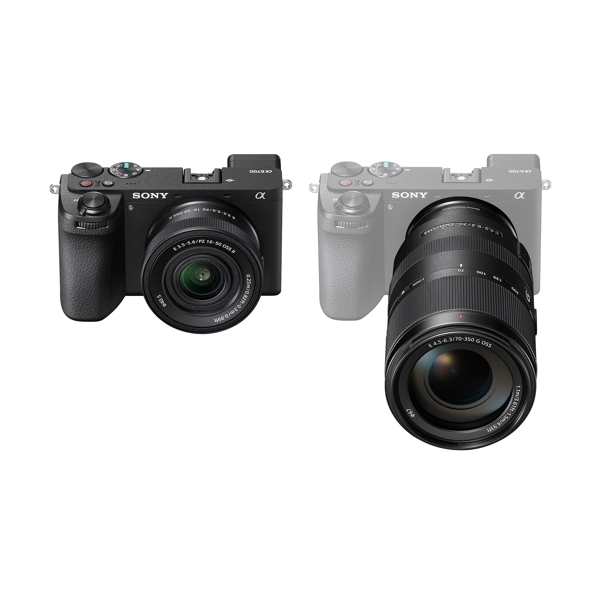 Sony A6700 Wildlife Kit
