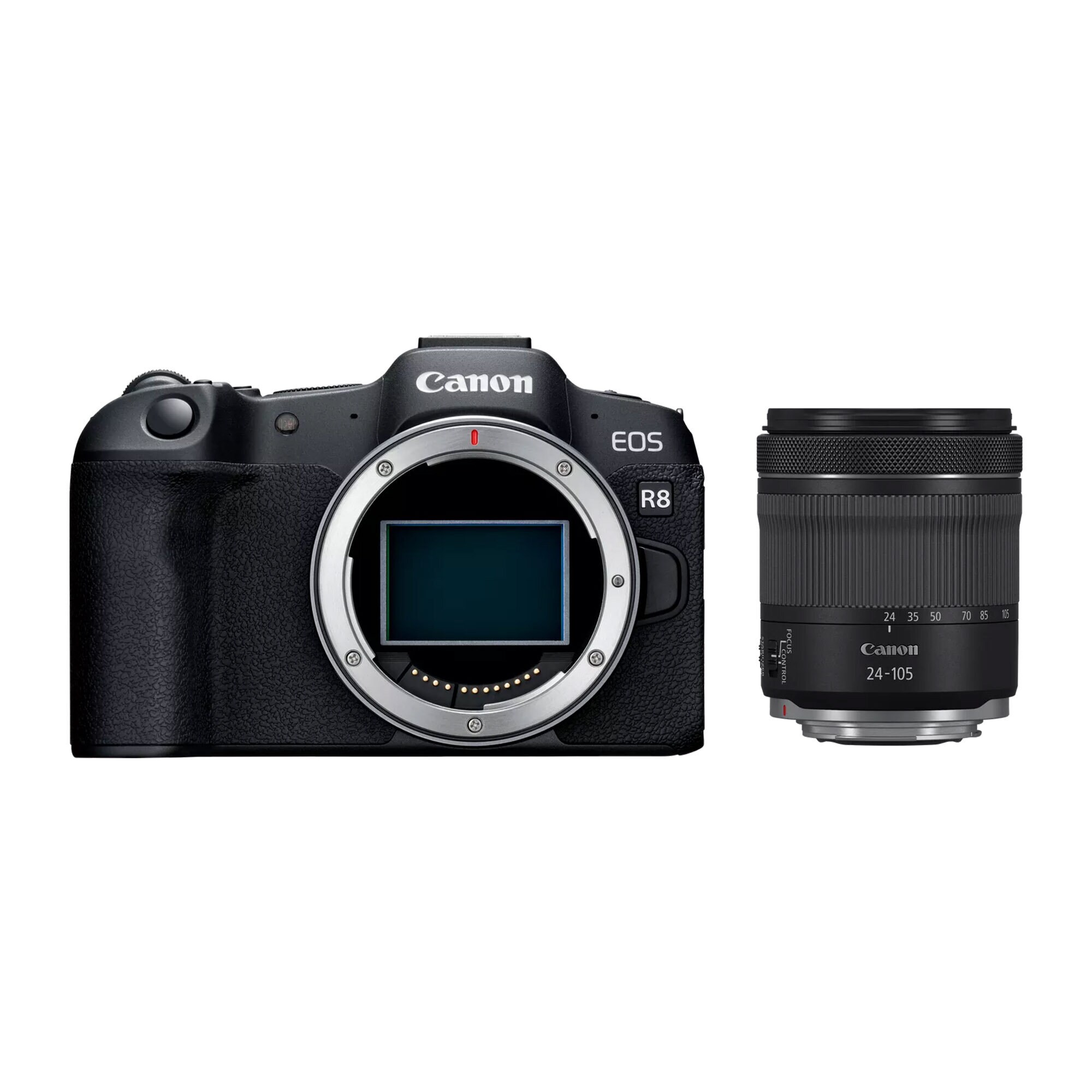 EOS R8 + RF 24-105mm F4-7.1 IS STM