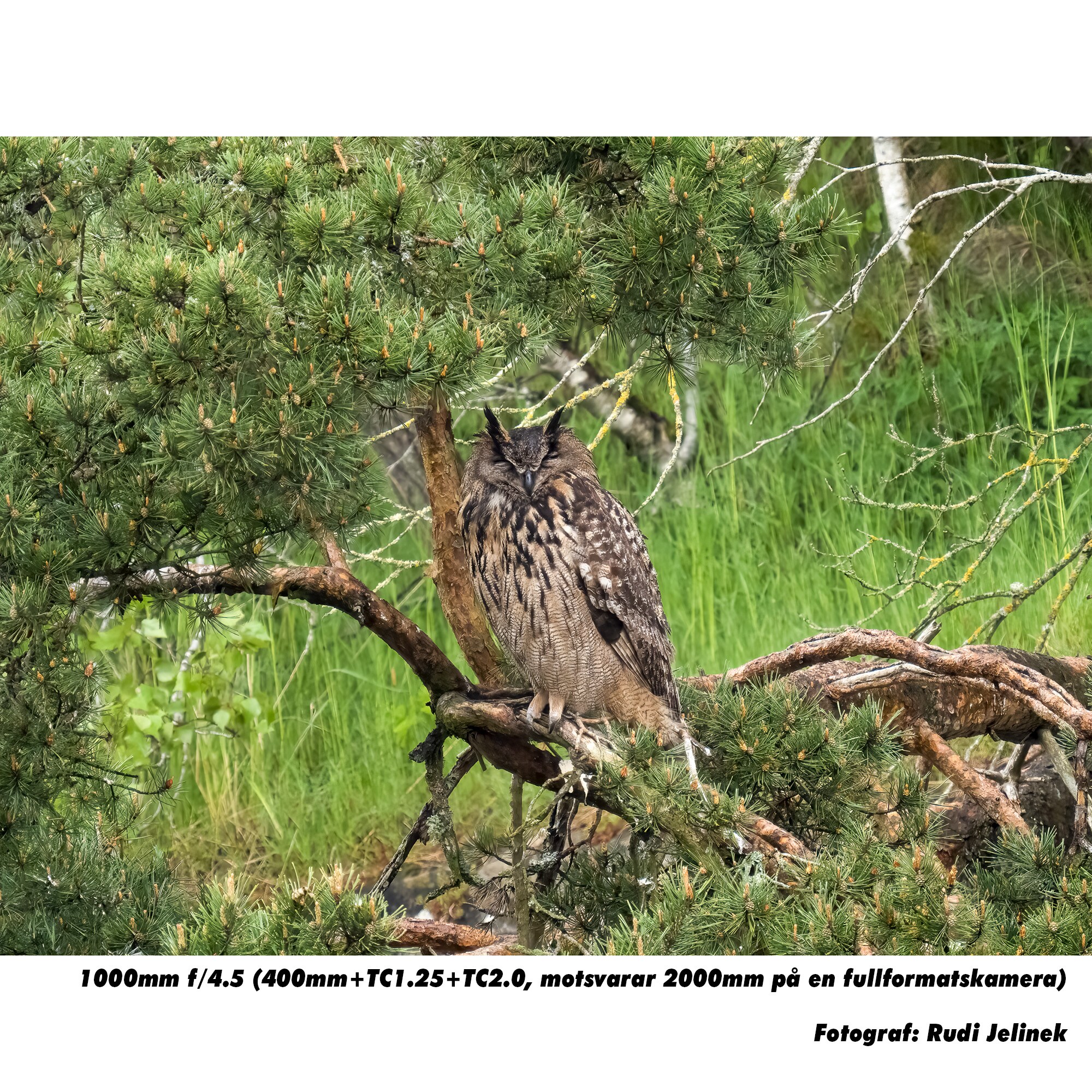 OM SYSTEM ED 150-400mm F4.5 TC1.25x IS PRO