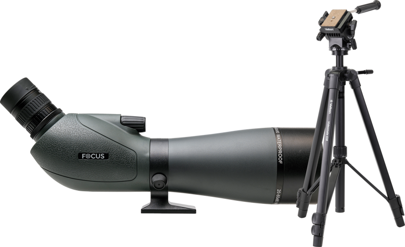 Focus Viewmaster 20-60x80 WP + Velbon Videomate 638