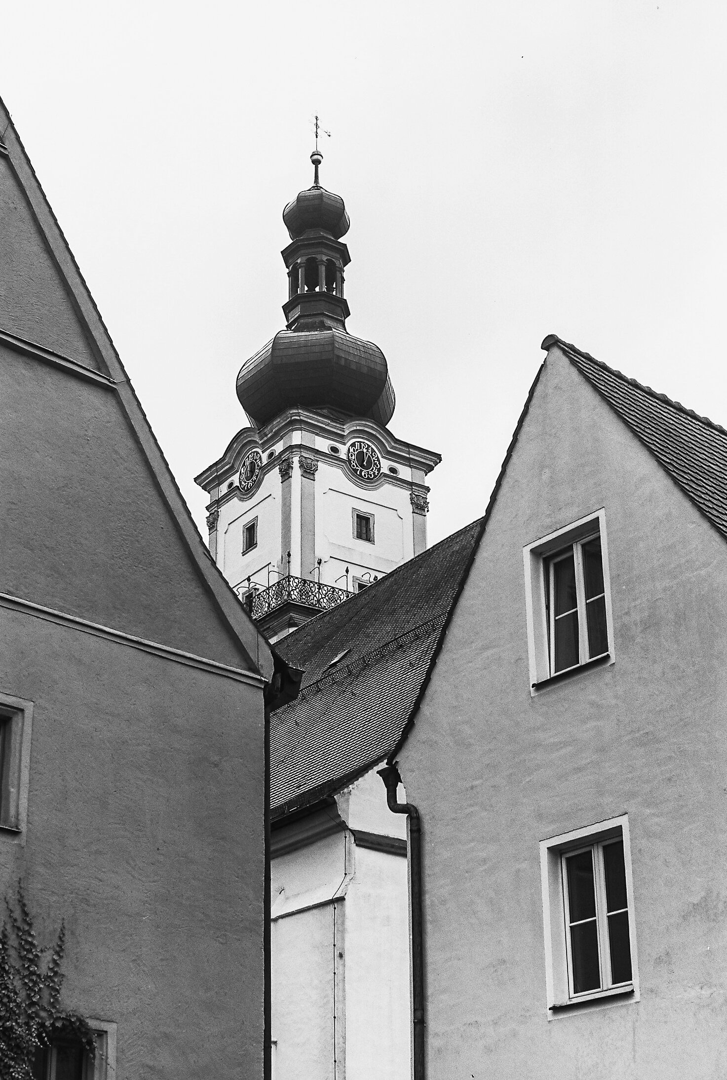 Leica Monopan 50 135/36