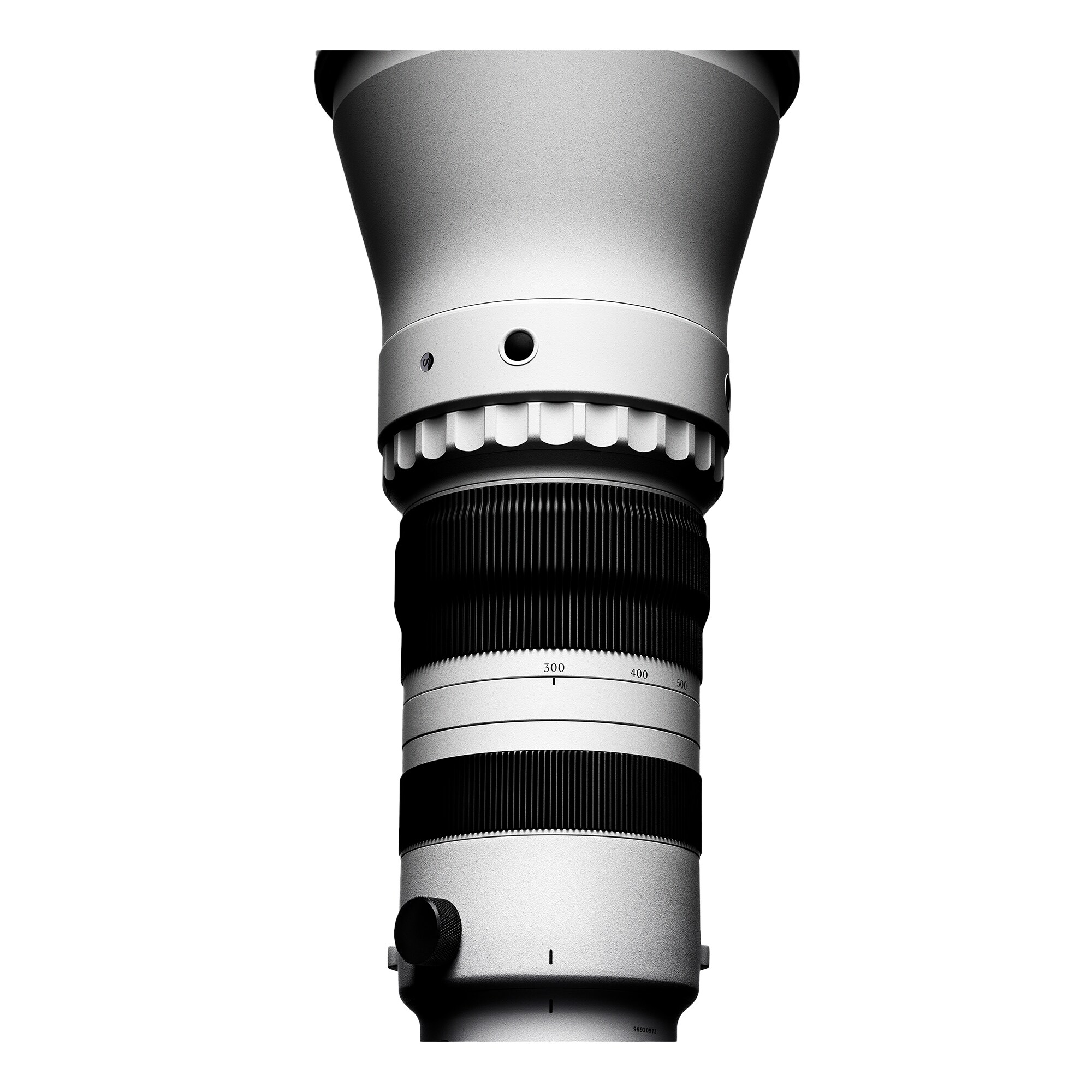 Sigma 300-600mm f/4 DG OS Sports L-Mount