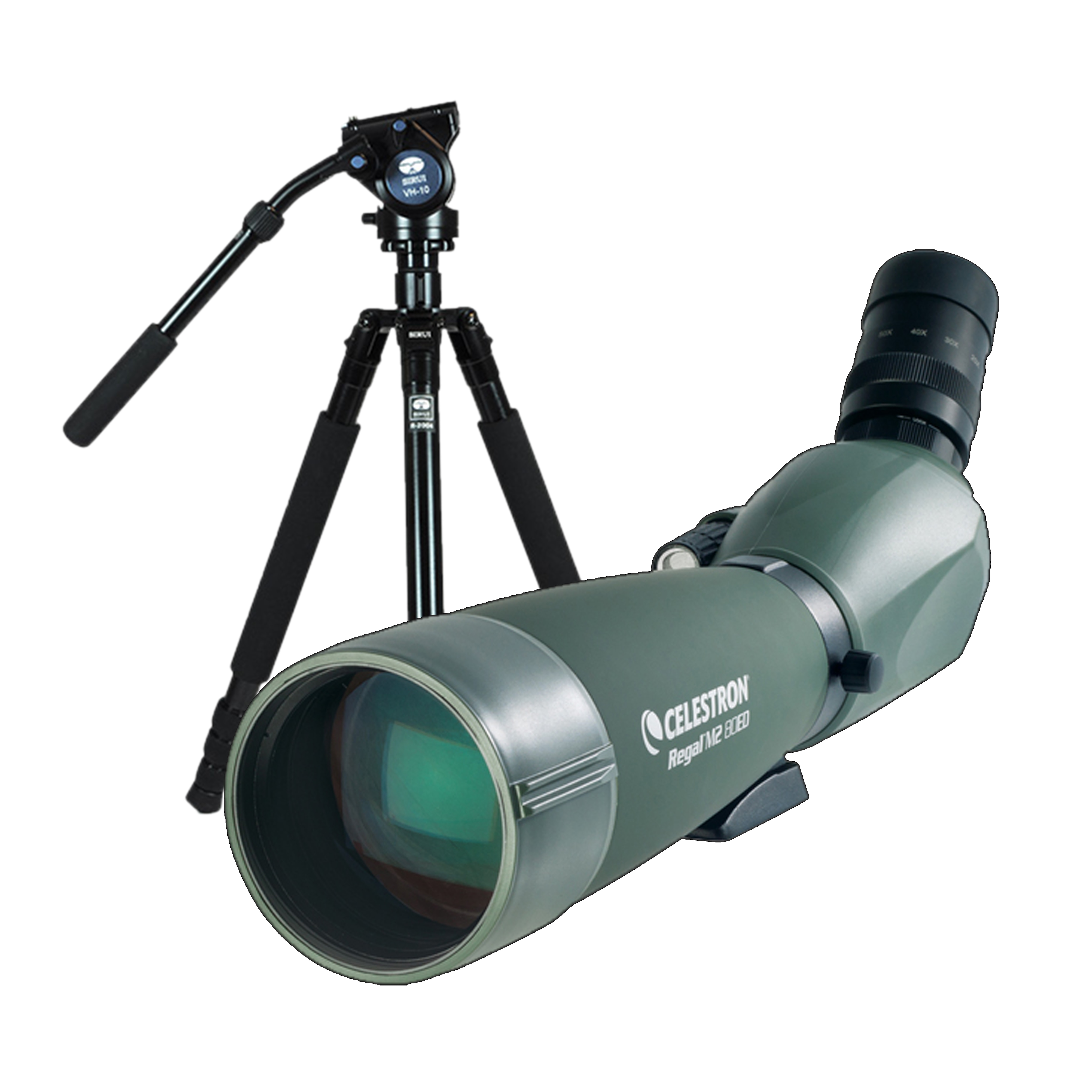 Celestorn Regal M2 20-60x80 + Sirui R-2004 + VH-10