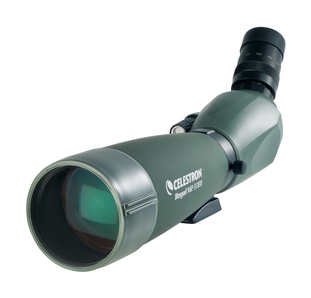 Celestron REGAL M2 20-60X80MM