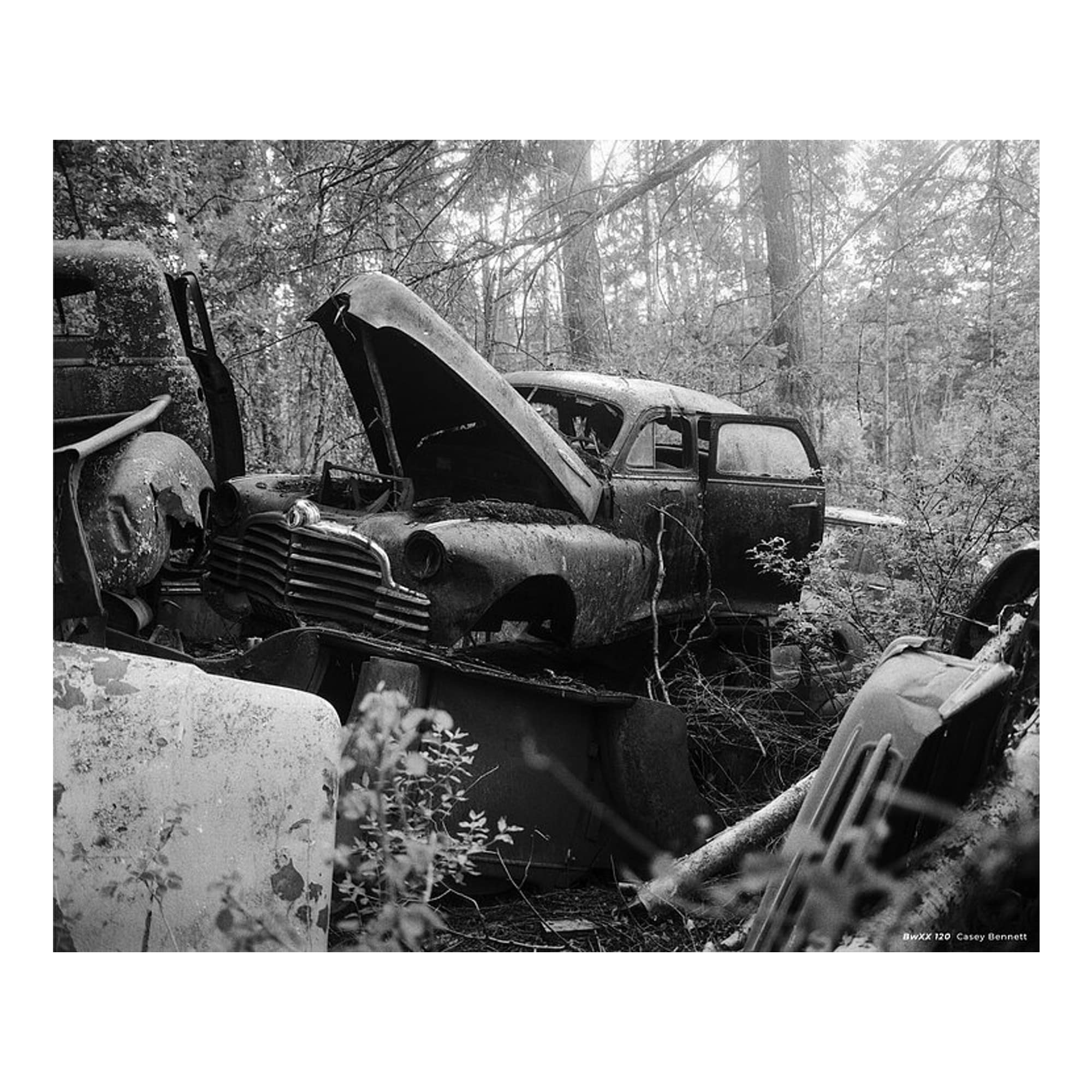 Cinestill BWxx Double-X 250 ISO 120