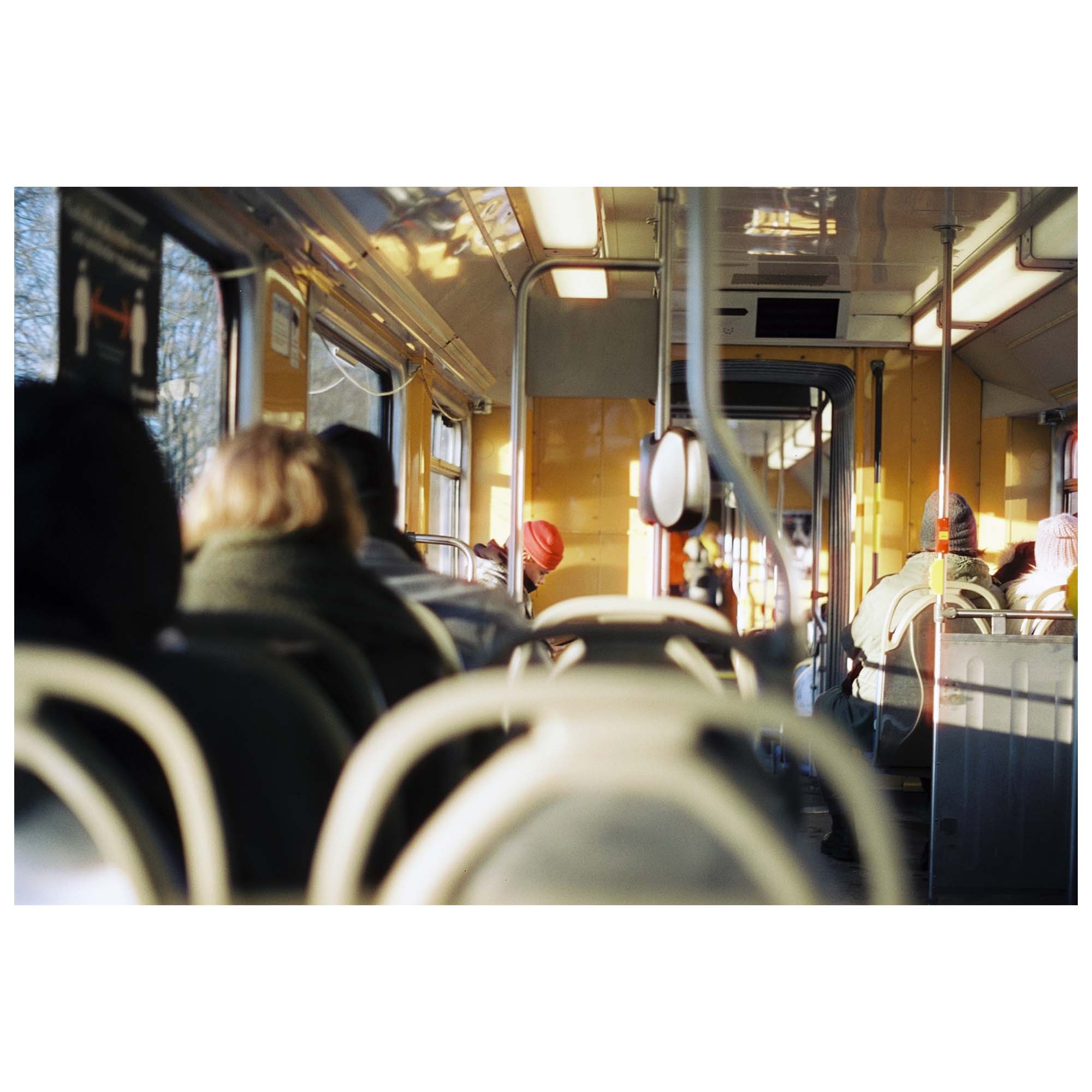 CineStill Xpro 50 Daylight C-41 135/36