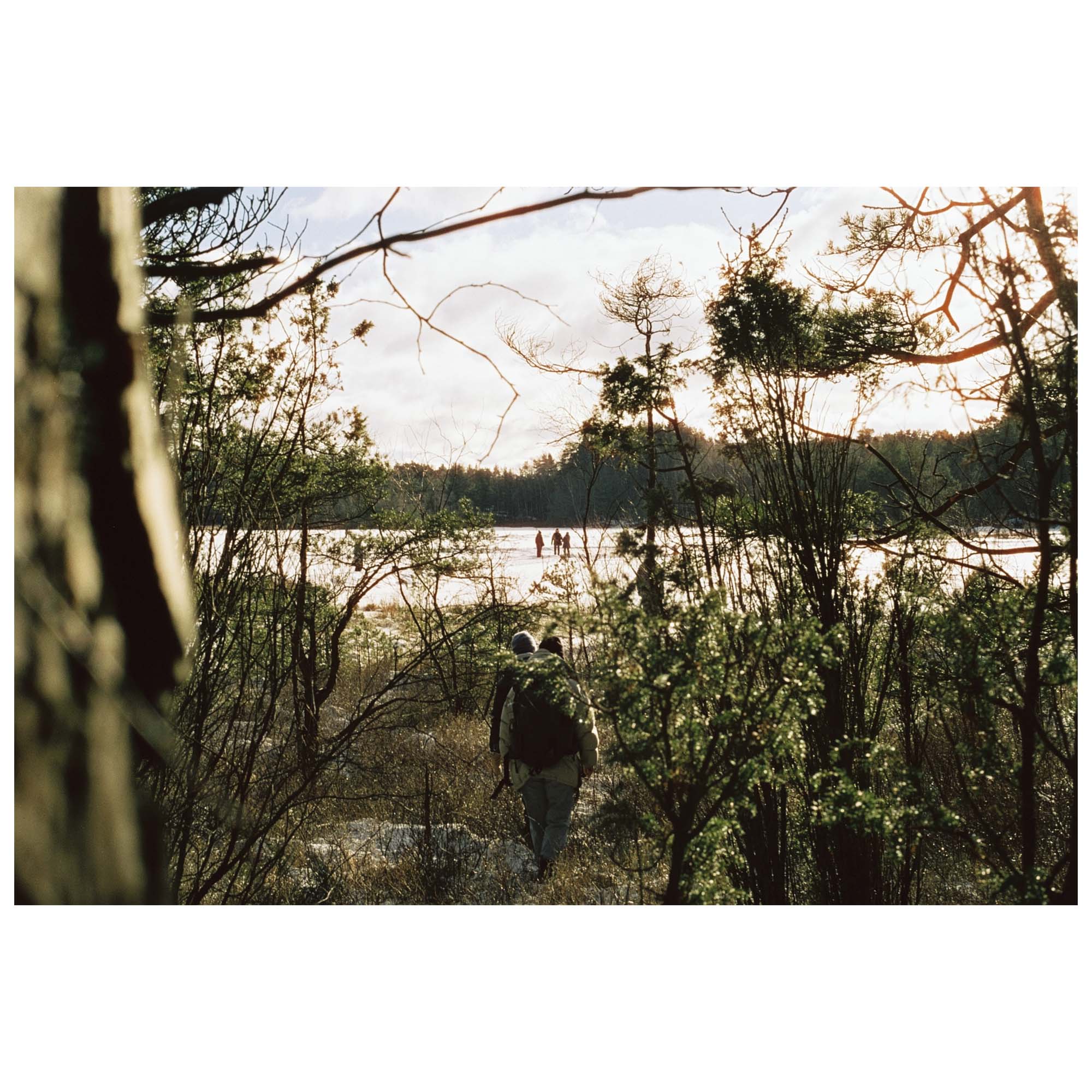 CineStill Xpro 50 Daylight C-41 135/36