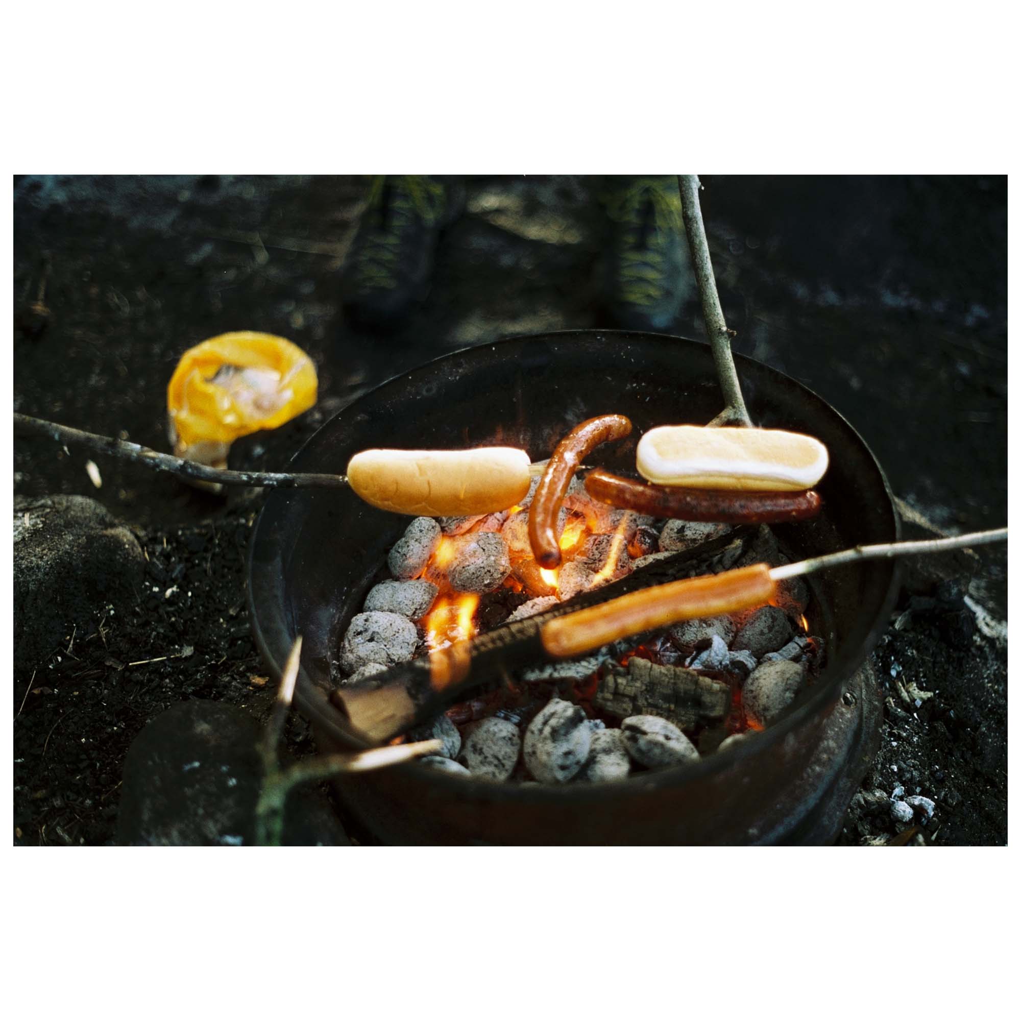 CineStill Xpro 50 Daylight C-41 135/36