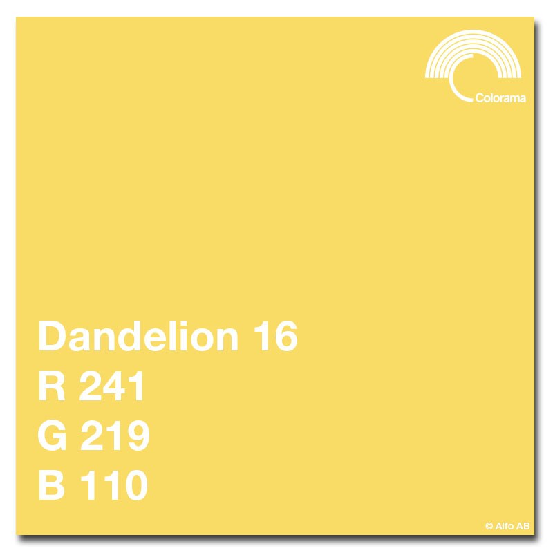 Colorama Bakgrundspapper Dandelion, 2,72x11m