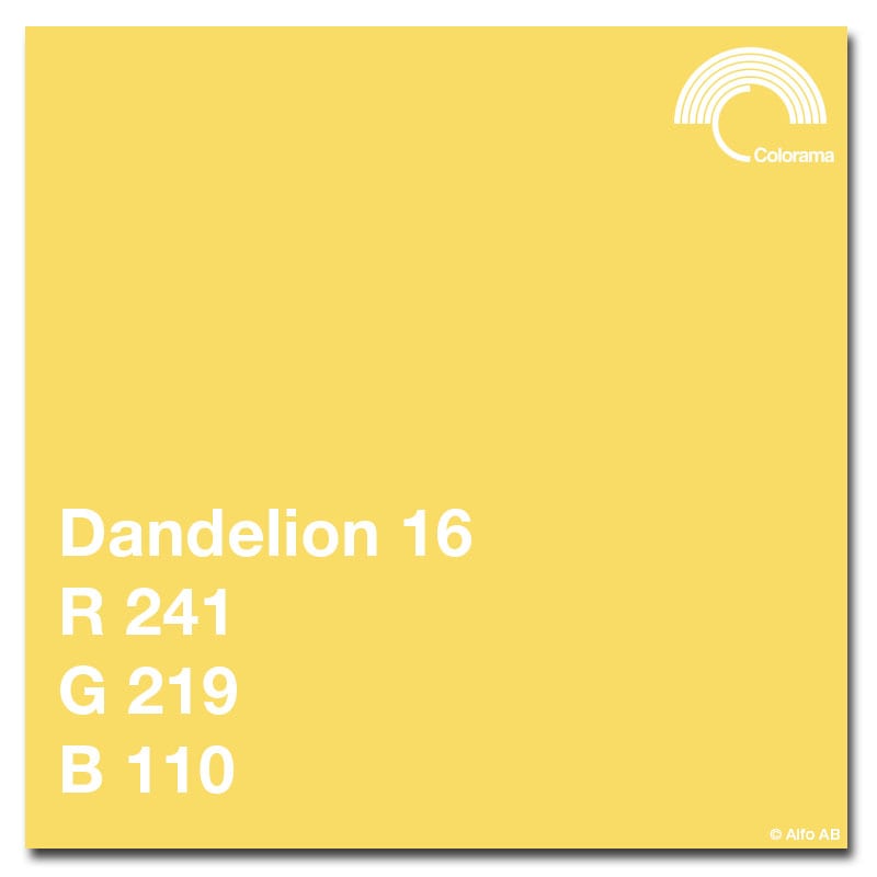 Colorama Bakgrundspapper 2,72 x 11m Dandelion