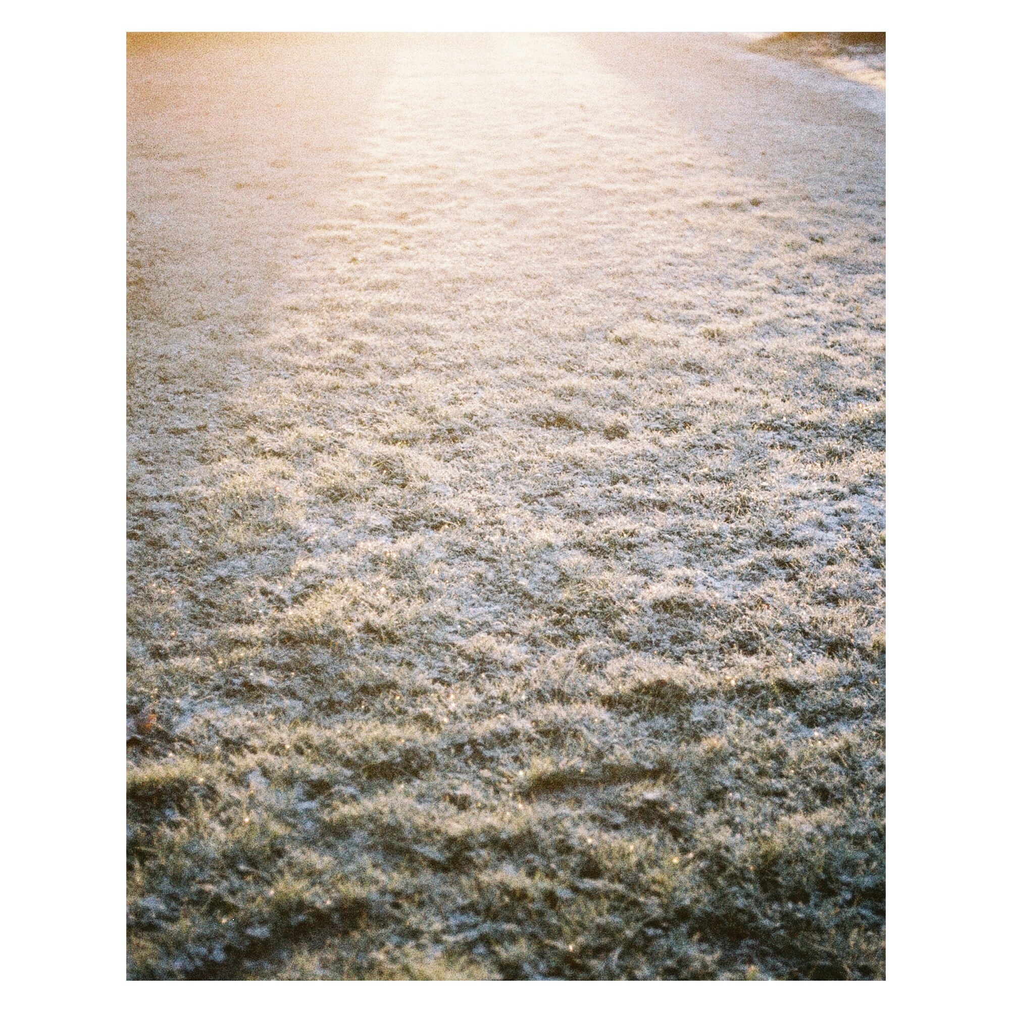 AgfaPhoto Colour 400 135-24