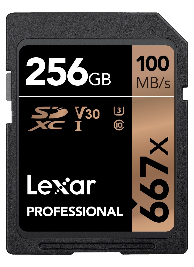 Pro 667X SDXC UHS-I U3 (V30) R100/W90 256 GB