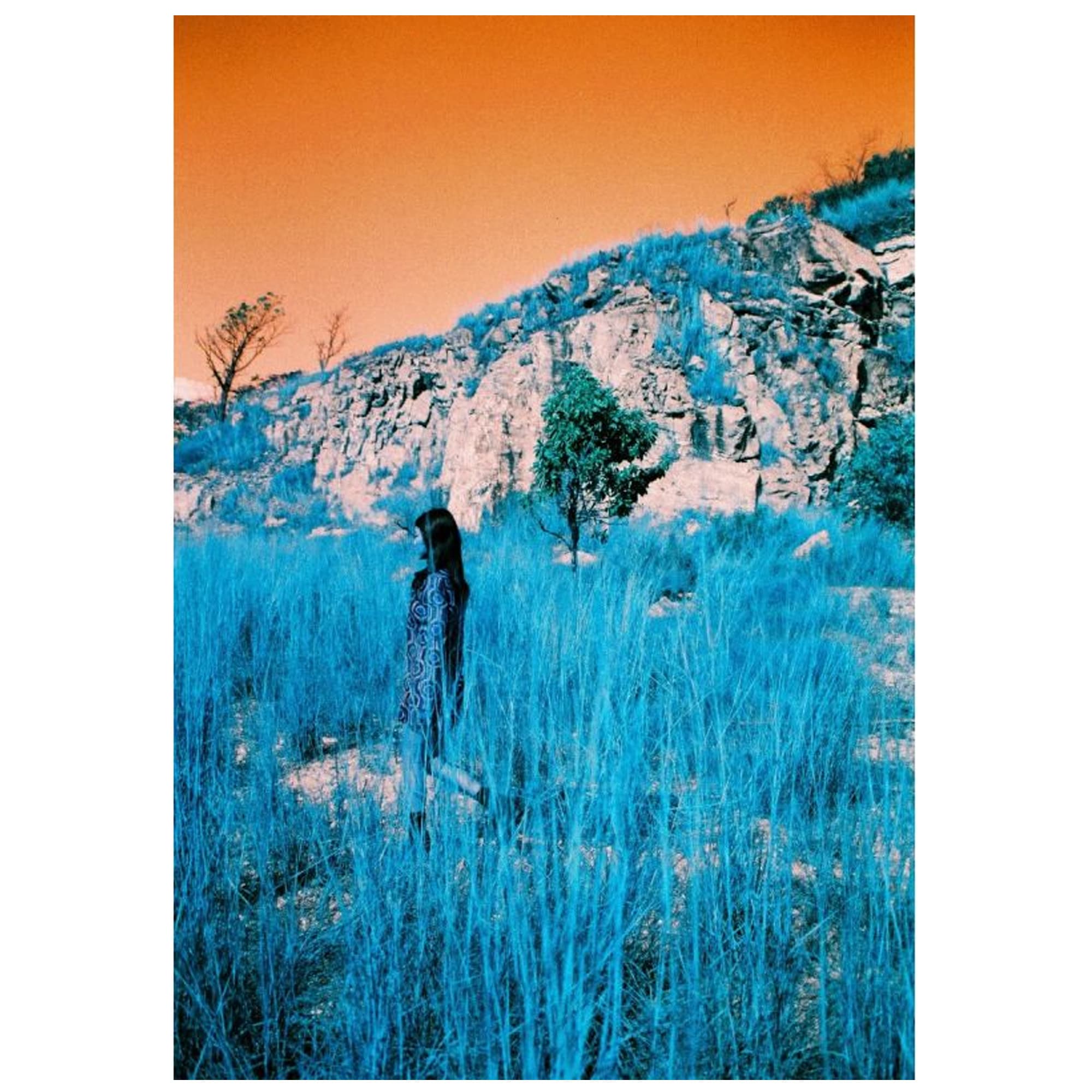 LomoChrome Turquoise XR 100-400 120