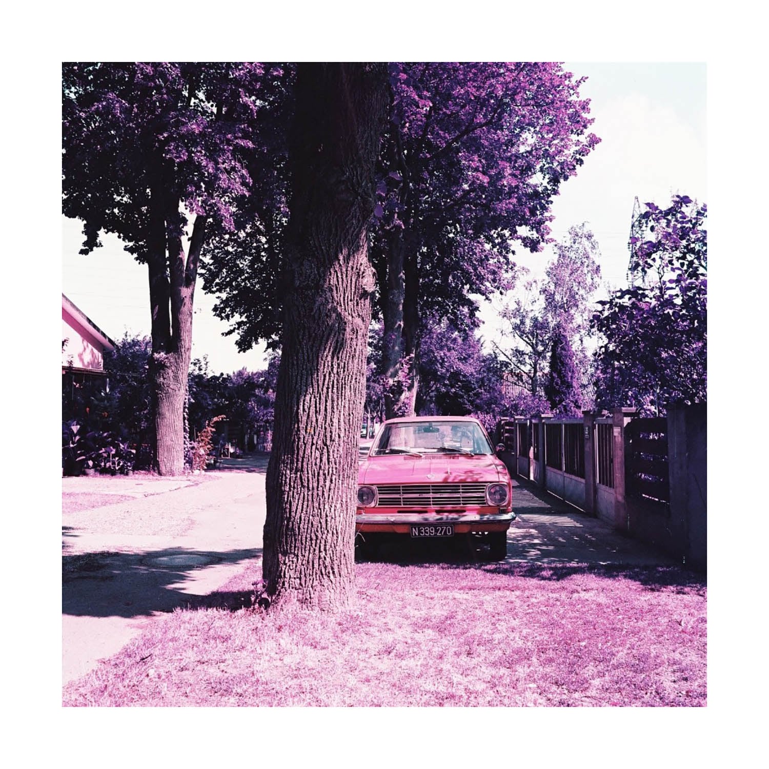 Lomography LomoChrome Purple XR 100-400 ASA 120film