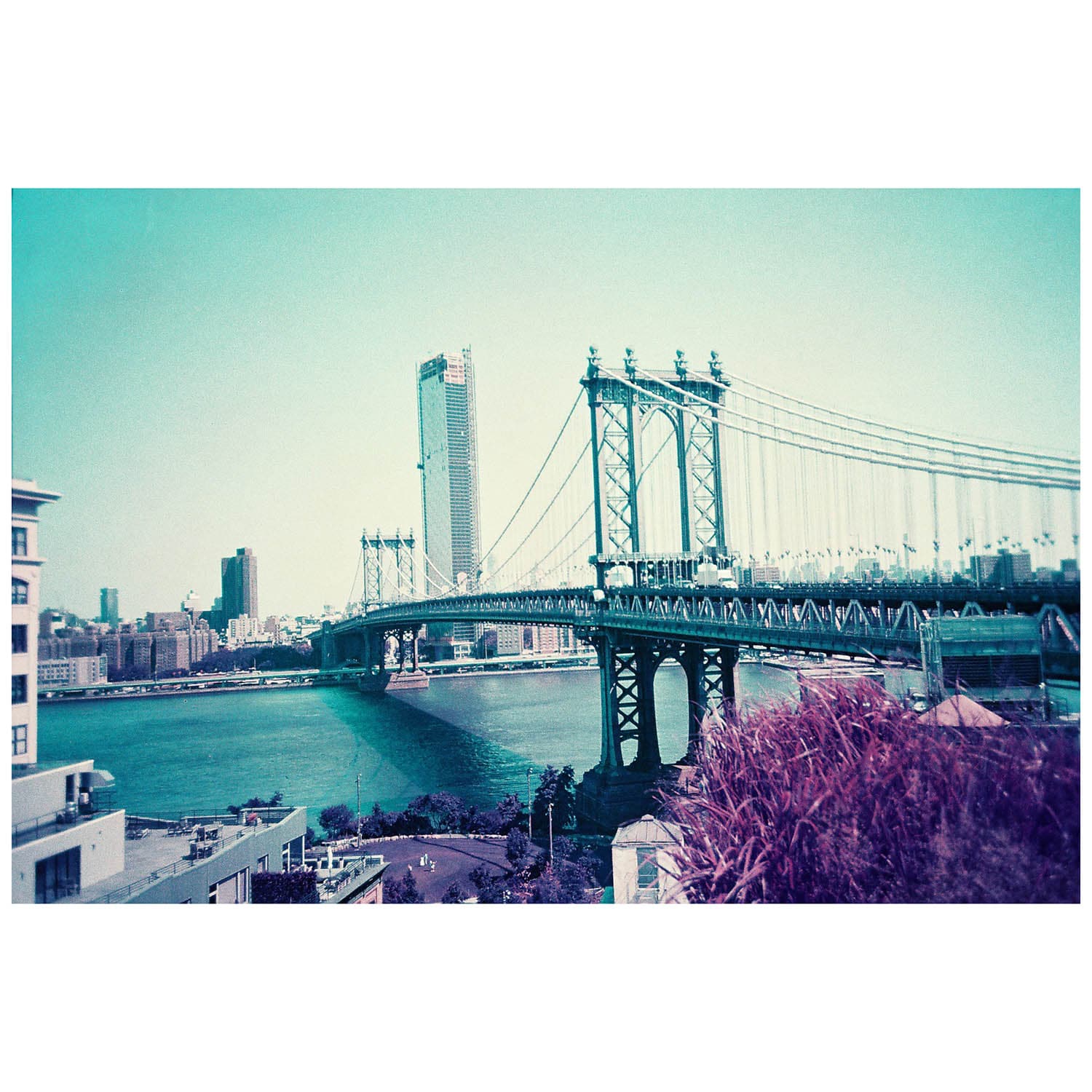 Lomography LomoChrome Purple XR 100-400 ASA 35/36