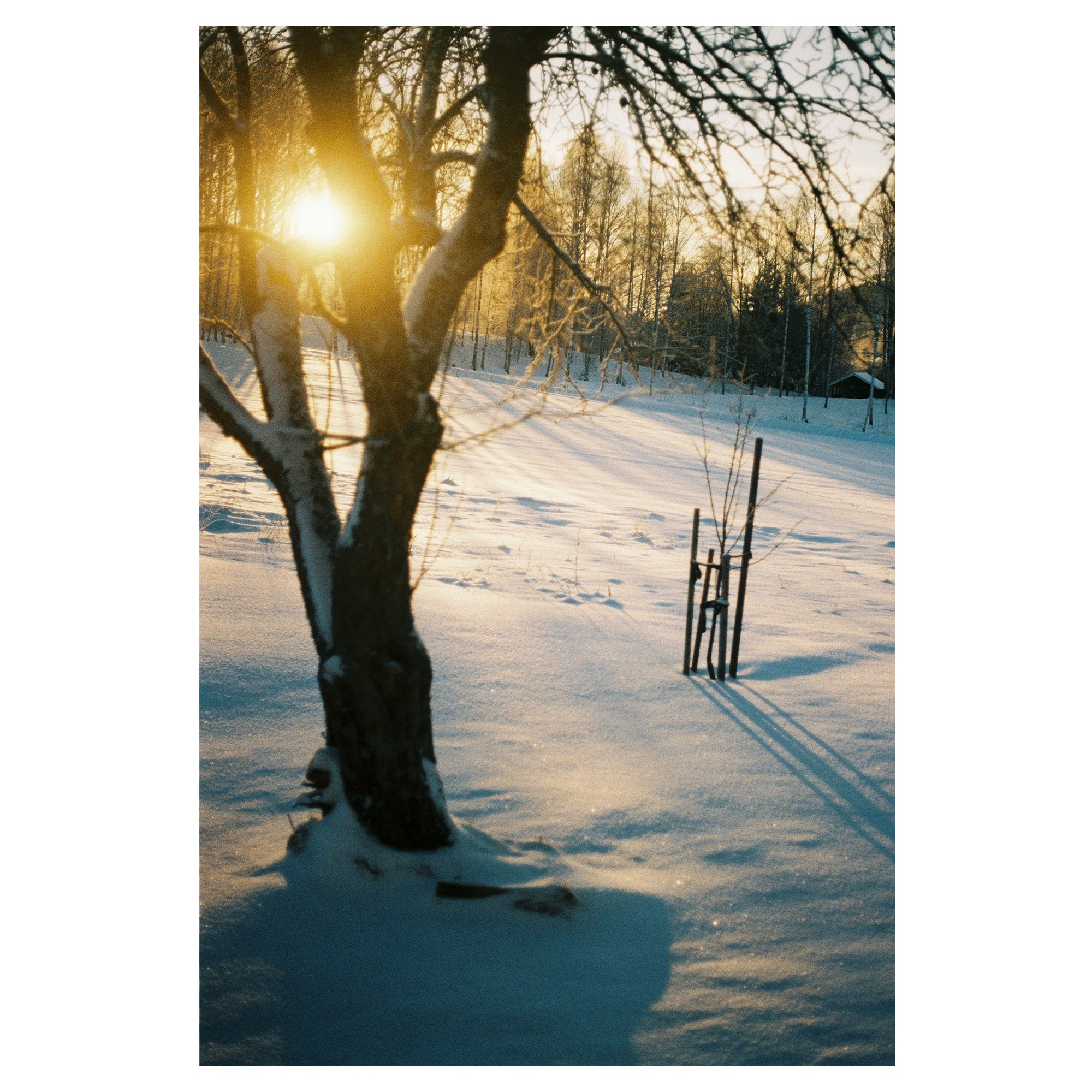 Fujifilm 400 135/36