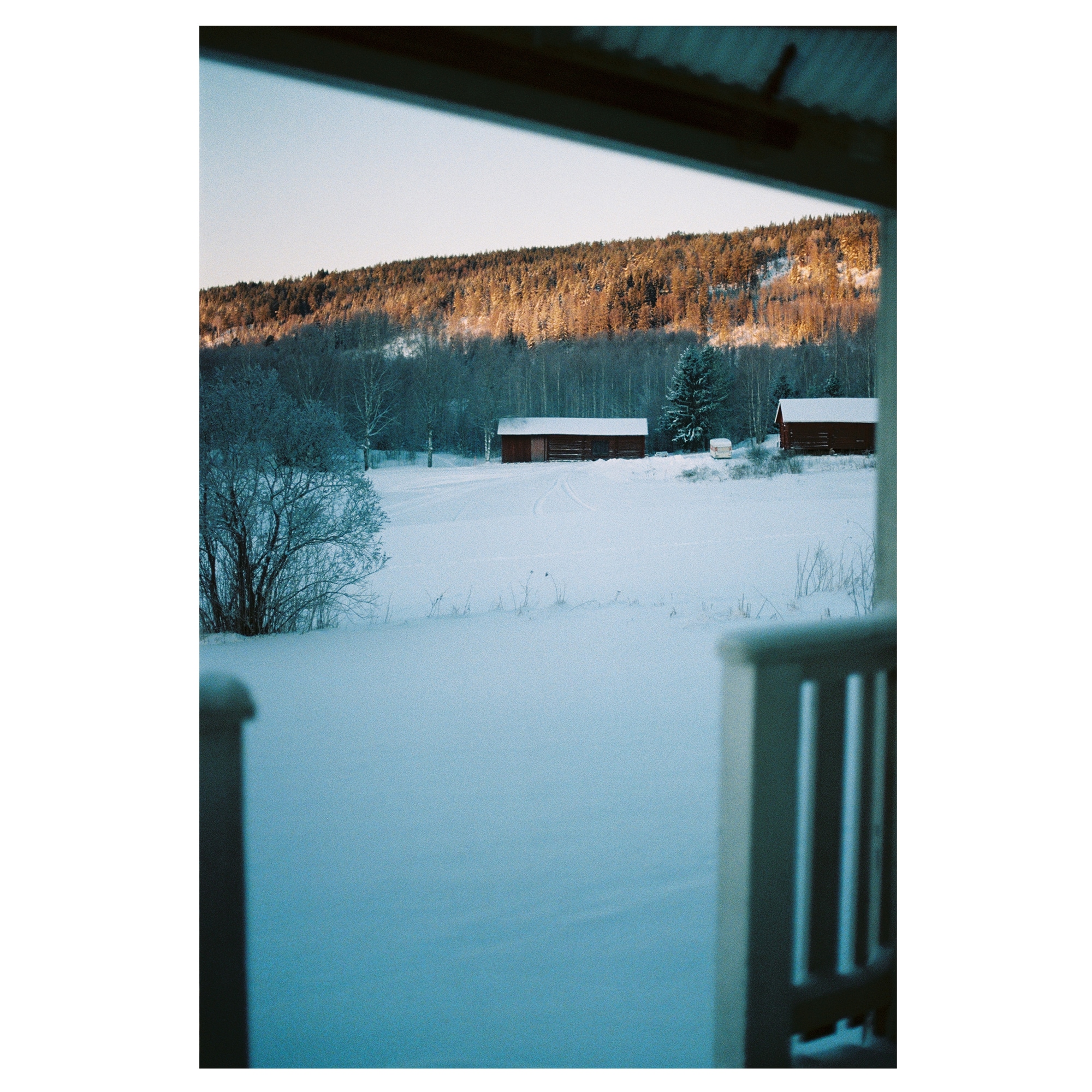Fujifilm 400 135/36