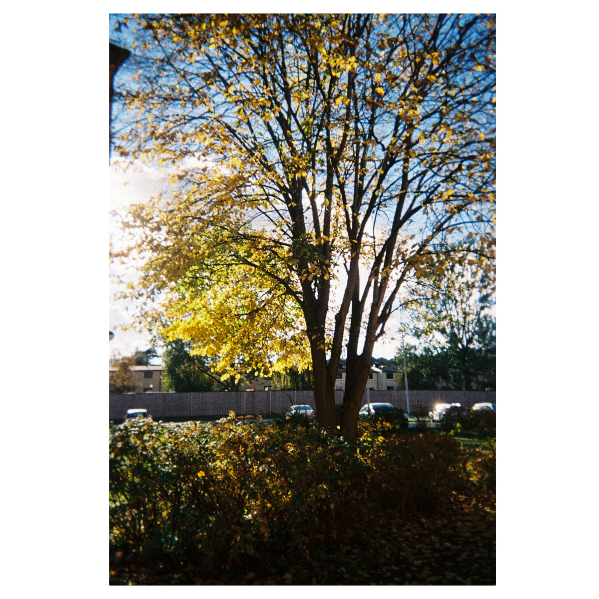 Fujifilm Quicksnap 27 Bilder 2-Pack