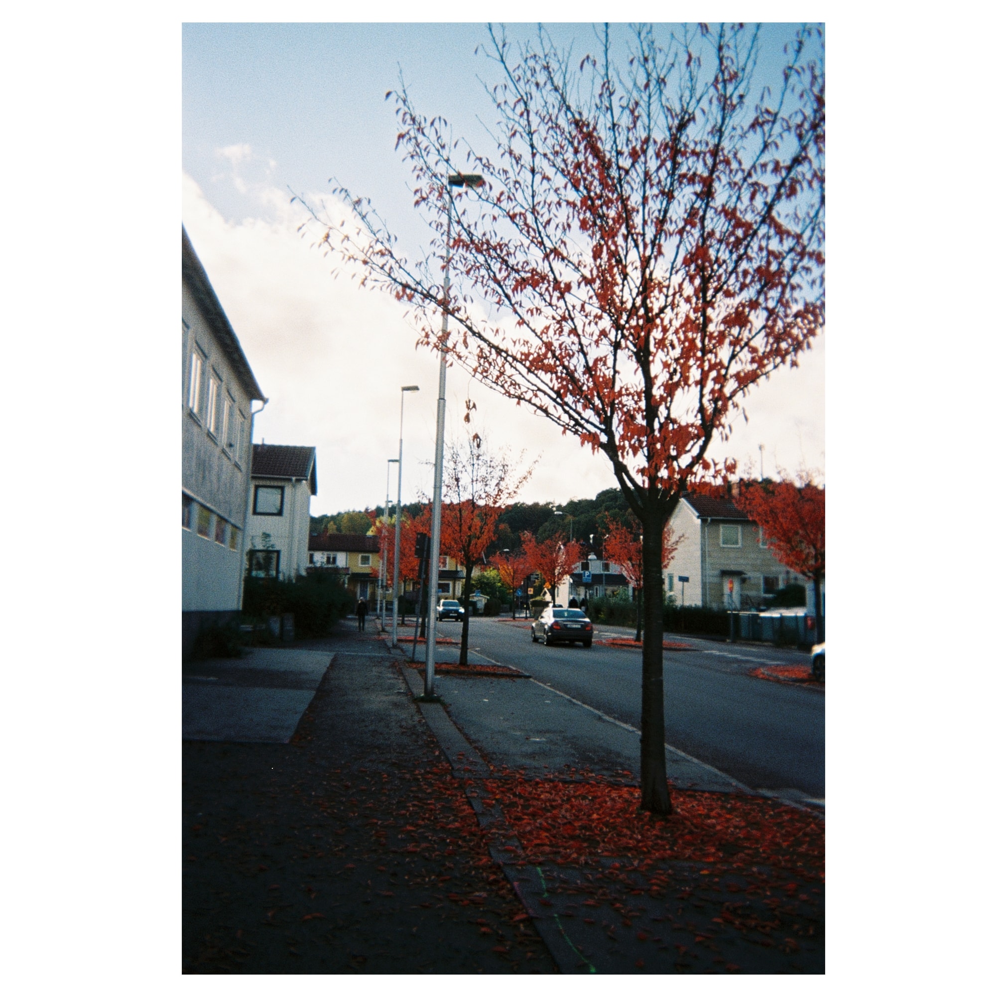 Fujifilm Quicksnap 27 Bilder 2-Pack