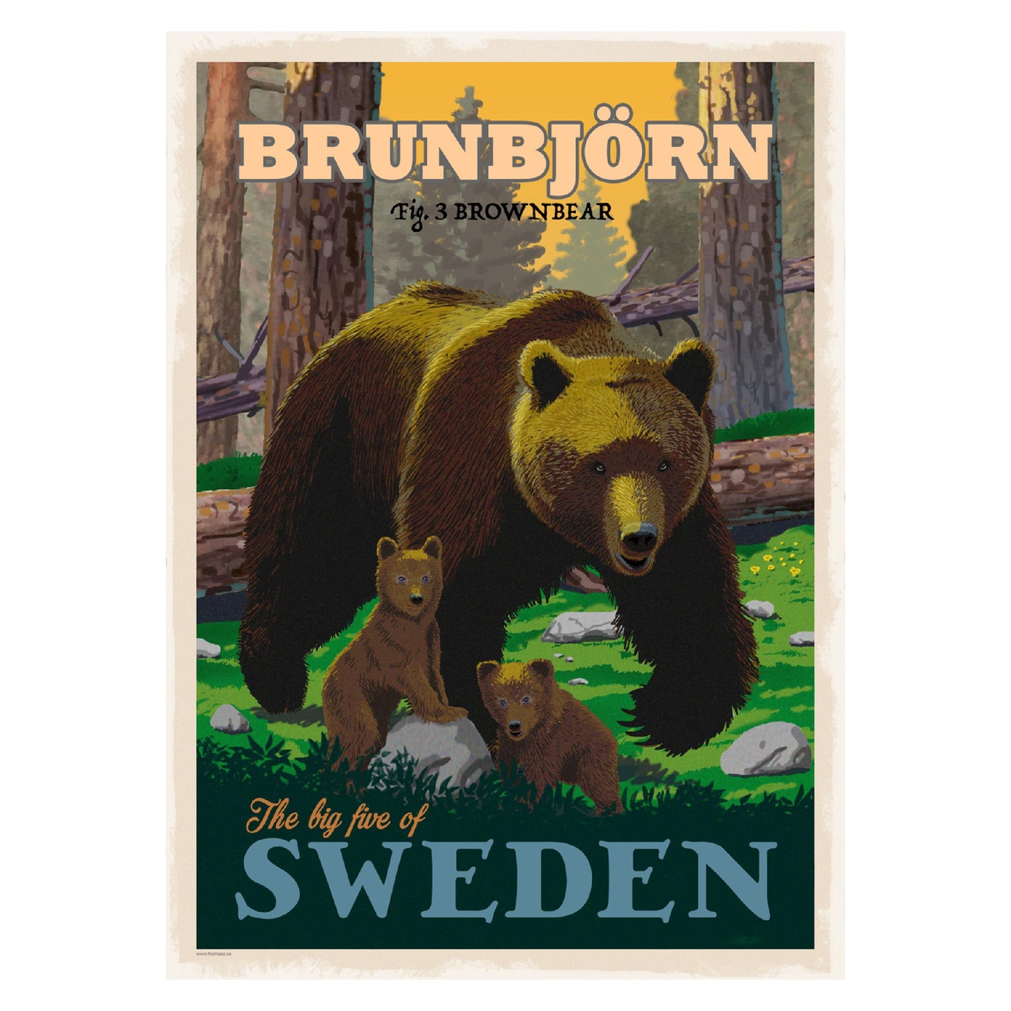 ThomasO Poster Brunbjörn